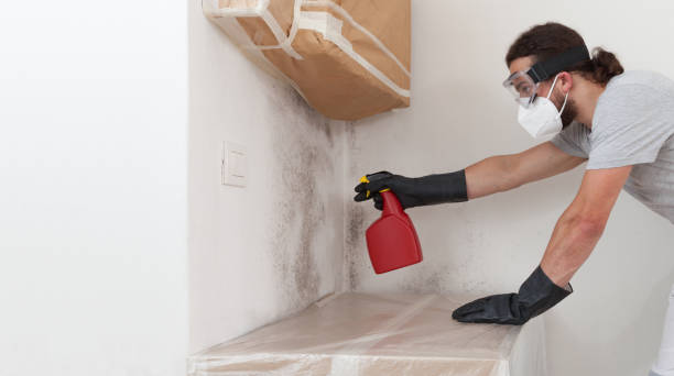 Professional Mold Remediation technician working in Barclay, MD