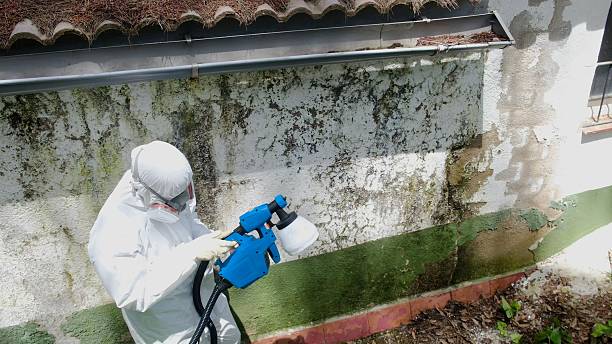 Top rated local Mold Remediation specialists in Barclay, MD